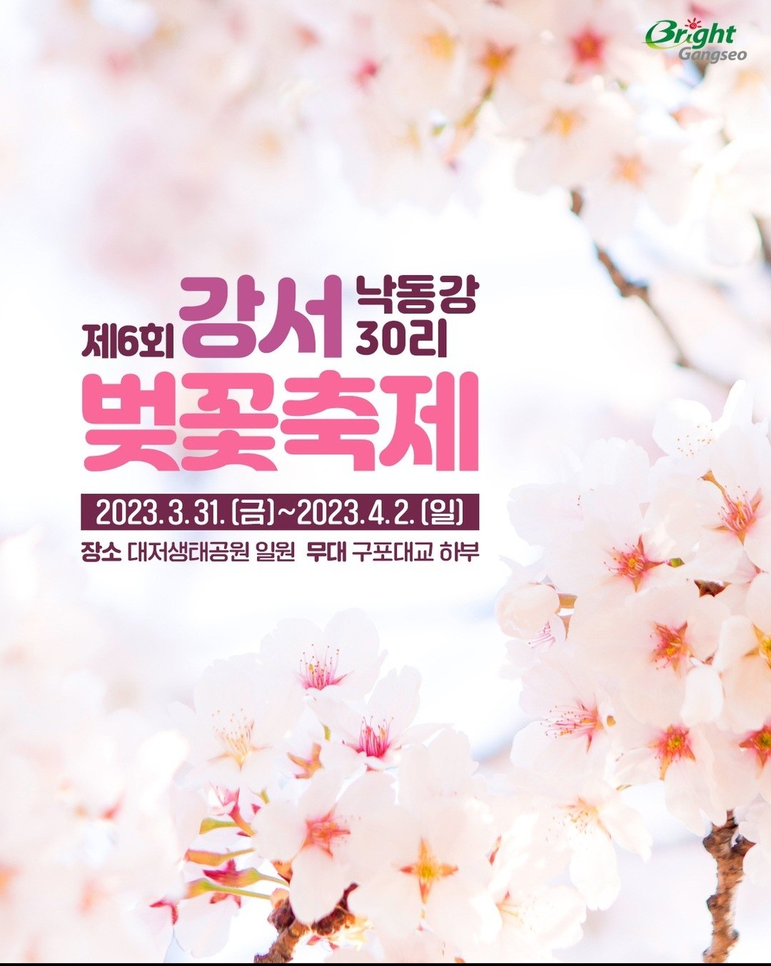 제6회 강서낙동강30리 벚꽃축제