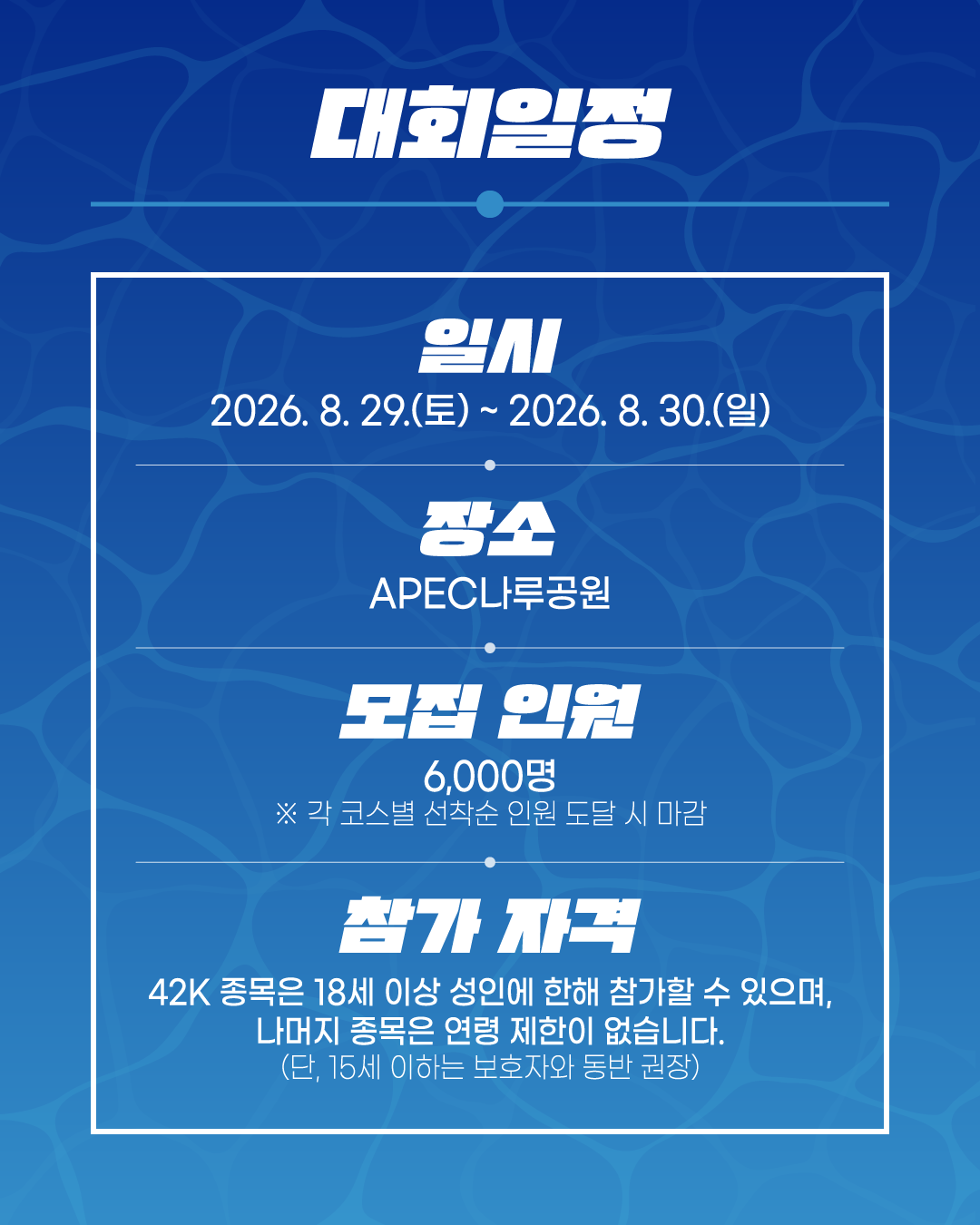 2026 부산 나이트 워크 42K