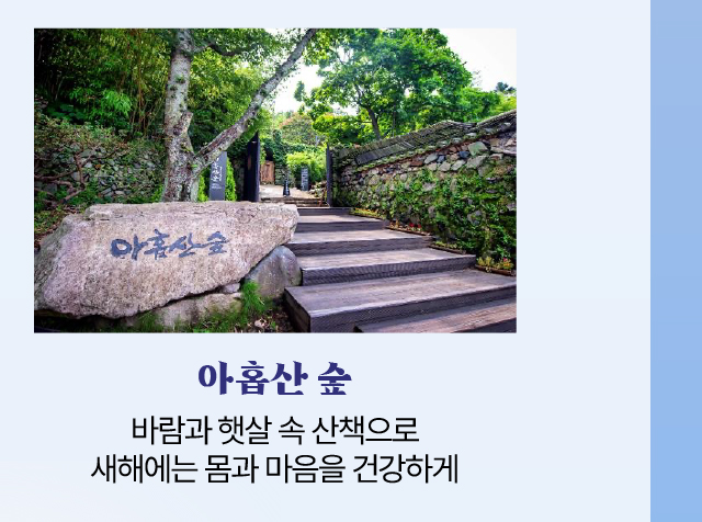 아홉산 숲/바람과 햇살 속 산책으로 새해에는 몸과 마음을 건강하게