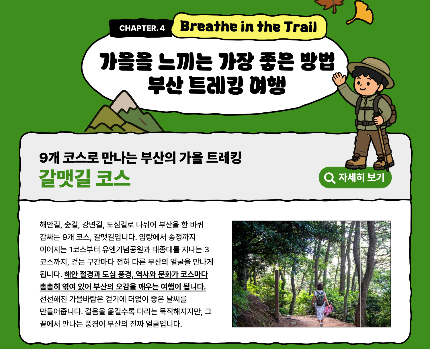 Breathe into Trail 가을을 느낄 수 있는 가장 좋은 방법, 부산 트레킹 여행/9개 코스로 만나는 부산의 가을 트레킹 갈맷길 코스 (자세히 보기)
