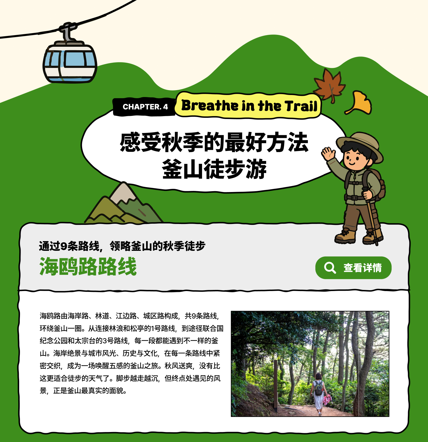 Breathe in the Trail，感受秋季的最好方法——釜山徒步游 / 通过9条路线，领略釜山的秋季徒步 海鸥路路线(查看详情)