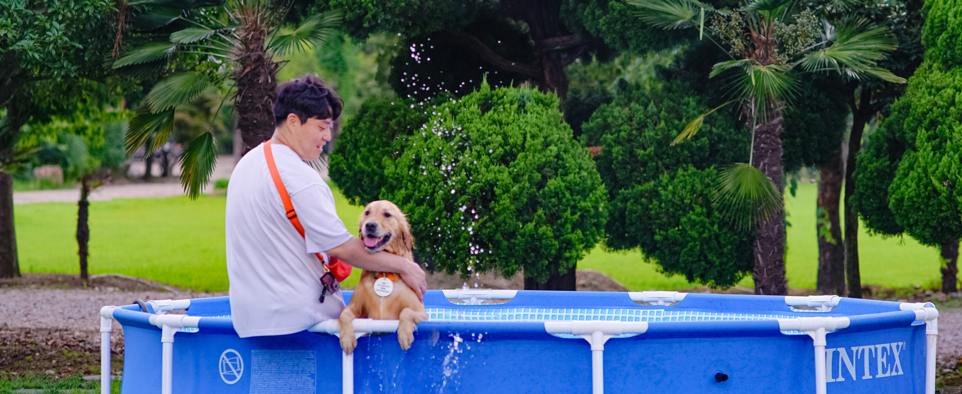 Temple Stay and Water Fun With Your Pooch, Have a Mung-Ter-Pool Day!