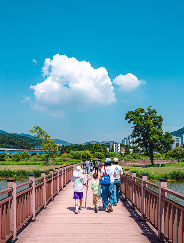 Nature can be exciting, too! Eco-adventure at Gamdongpogu Port in Nakdonggang River