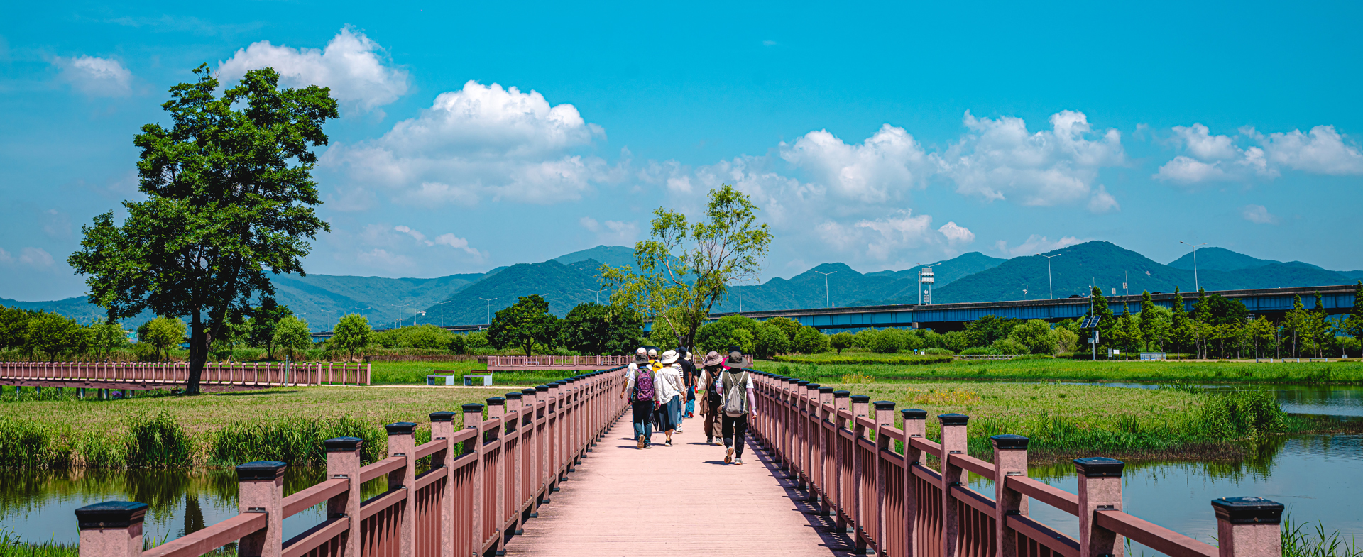 Nature can be exciting, too! Eco-adventure at Gamdongpogu Port in Nakdonggang River