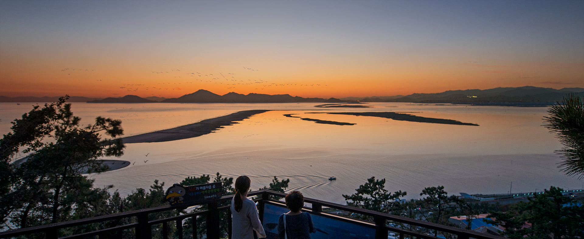 Ecotourism with Migratory Birds Under the Sky