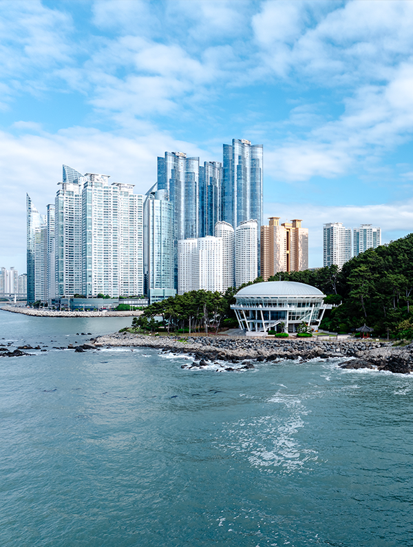 Finding Calm in Busan: 4 Places Full of Peace and Local Charm