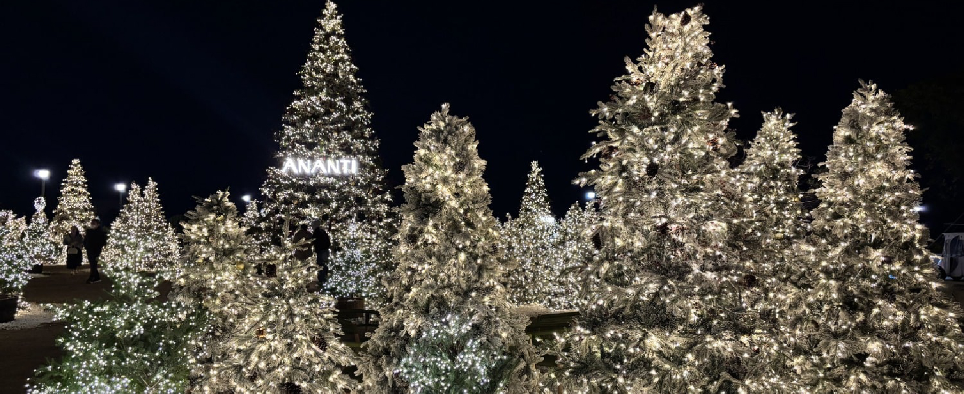 Four Light Festivals Illuminating Busan’s Winter in 2025